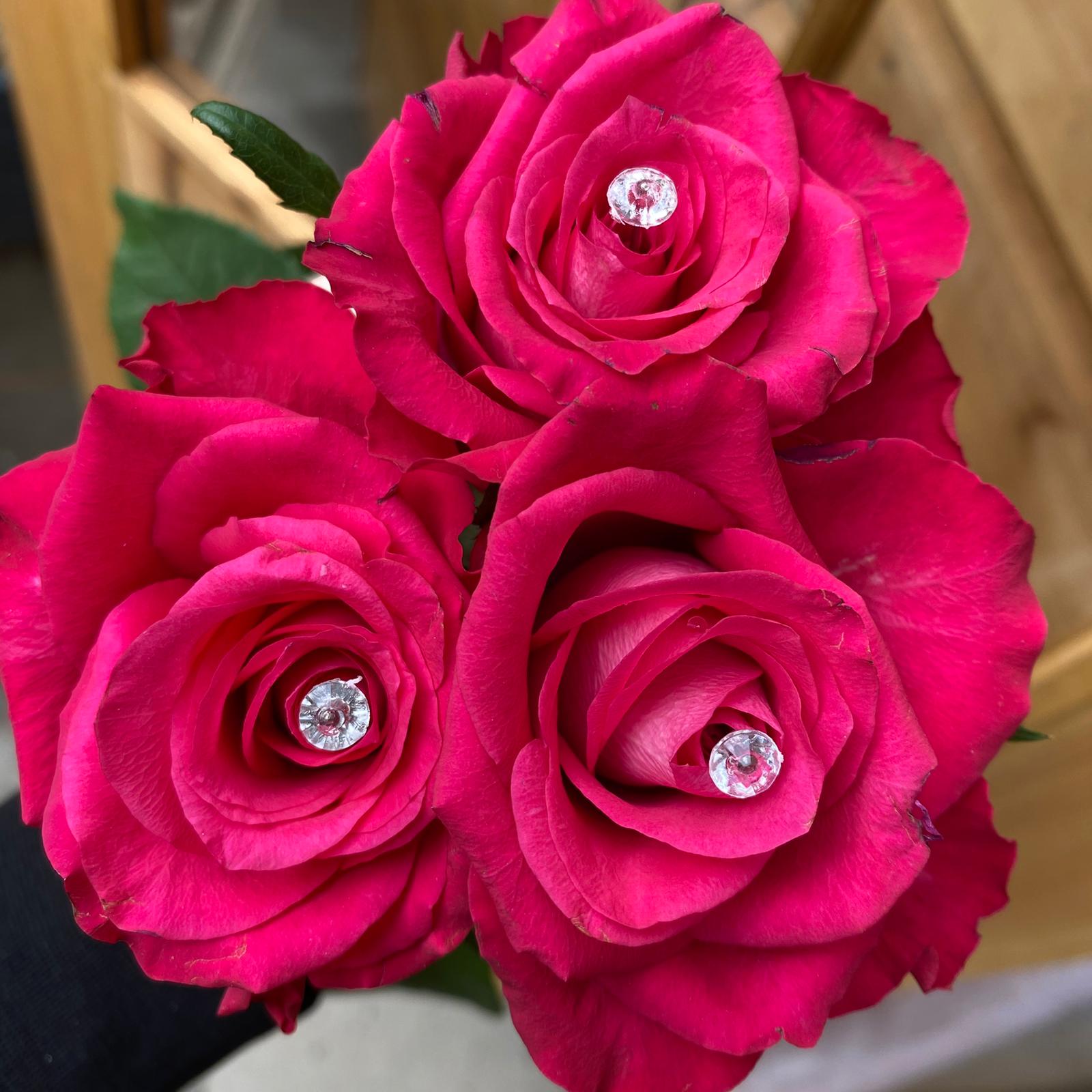 Diamantés – Flower Days Florists
