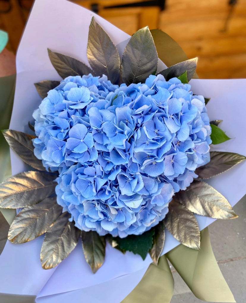 Cloud Bouquet